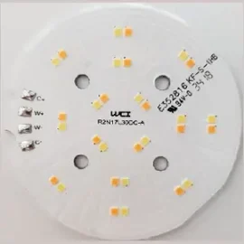 Dual Color 30 LED Module